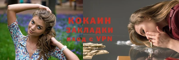 прущие грибы Балахна