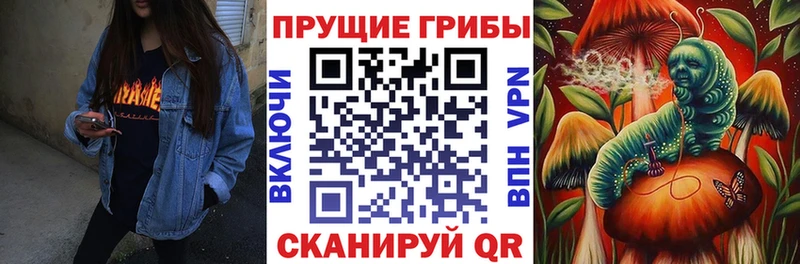 Купить  Миллерово  Галлюциногенные грибы Cubensis 